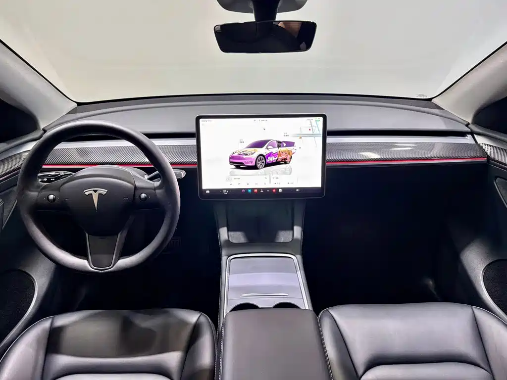 Tesla Model Y — фото 13