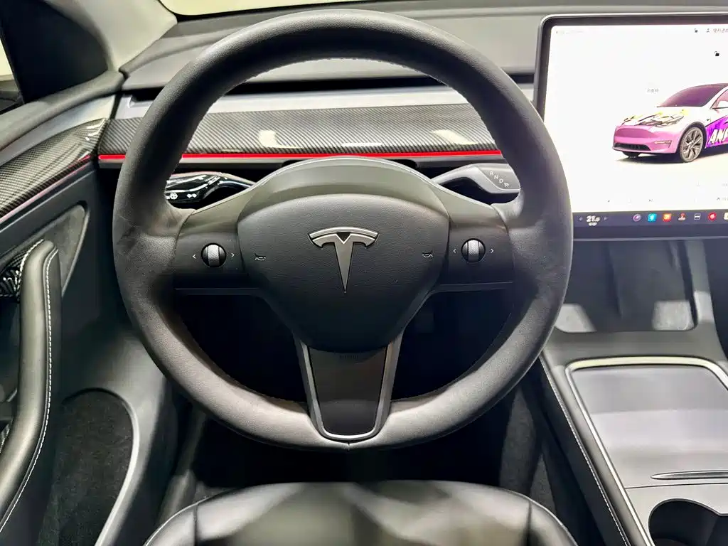 Tesla Model Y — фото 21