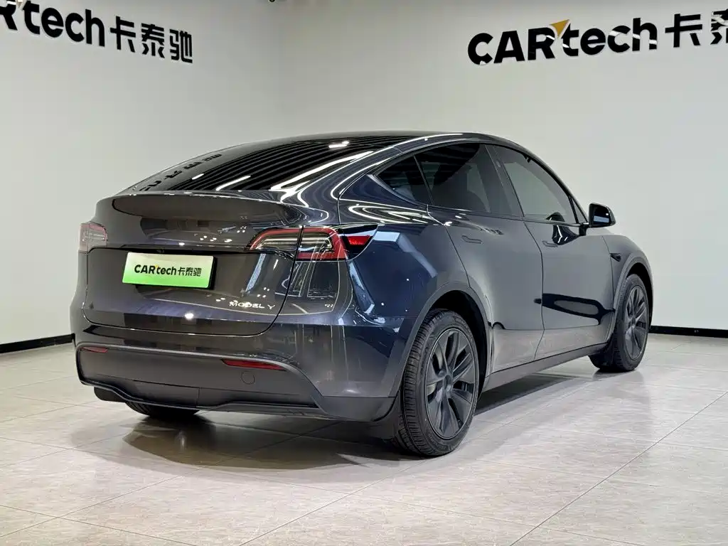 Tesla Model Y — фото 4