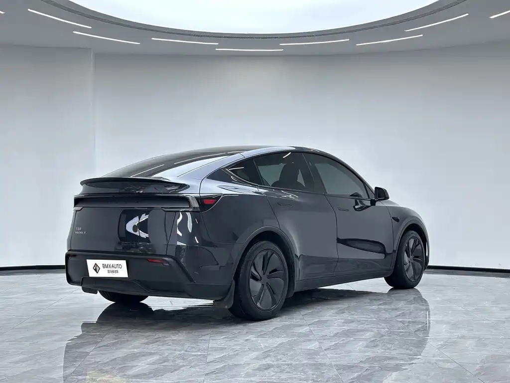 Tesla Model Y — фото 4