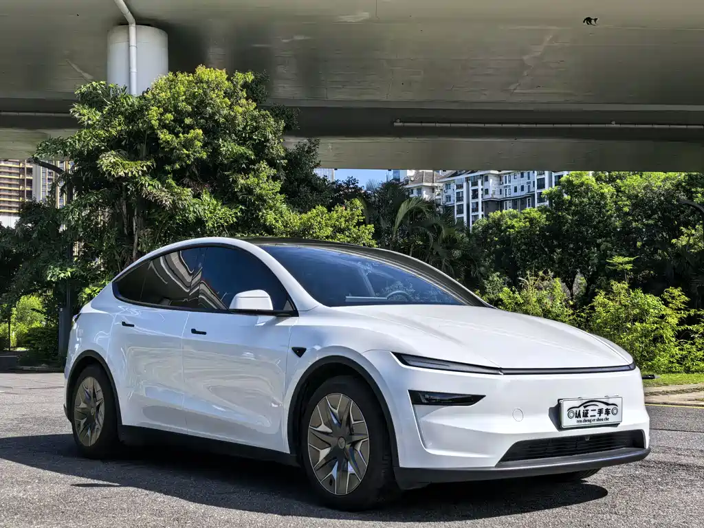 Tesla Model Y L — фото 3