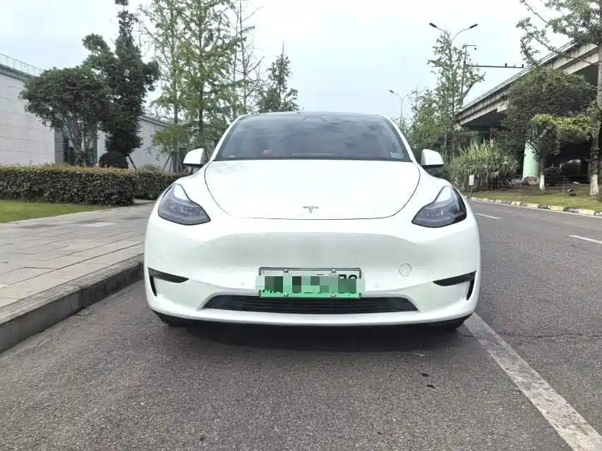 Tesla Model Y — фото 2