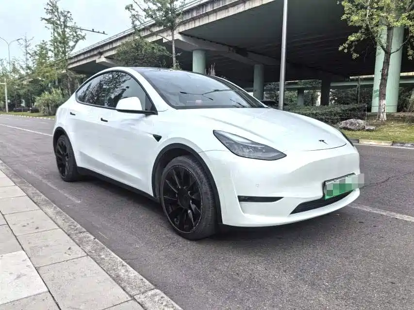 Tesla Model Y — фото 3