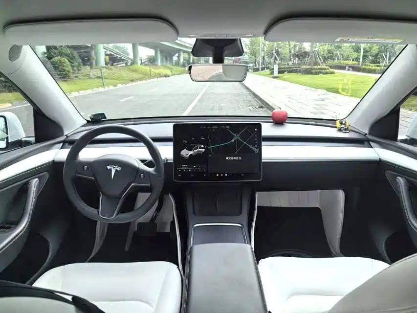Tesla Model Y — фото 6