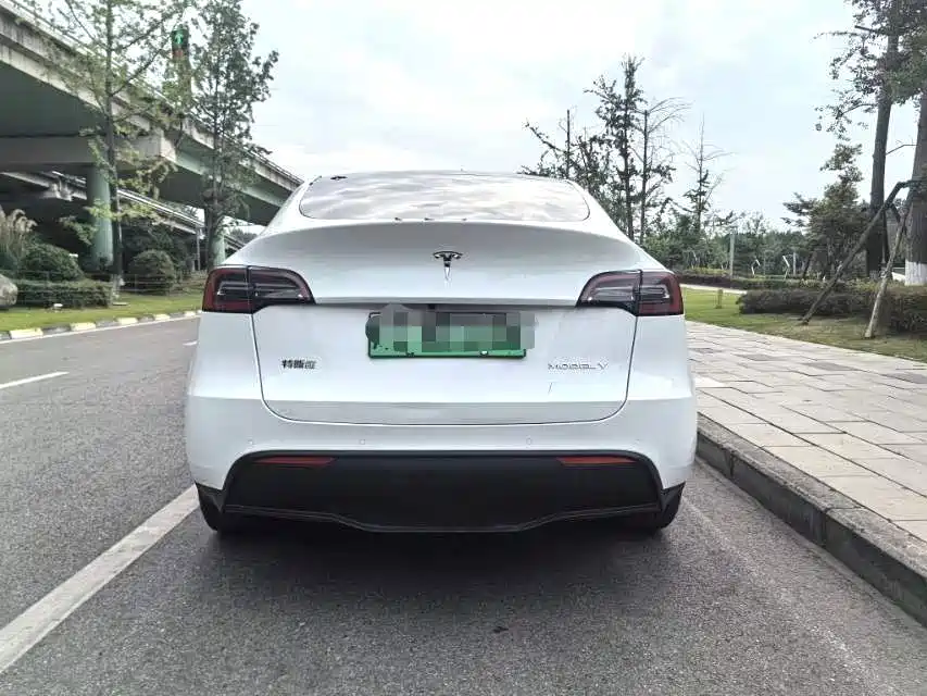 Tesla Model Y — фото 8
