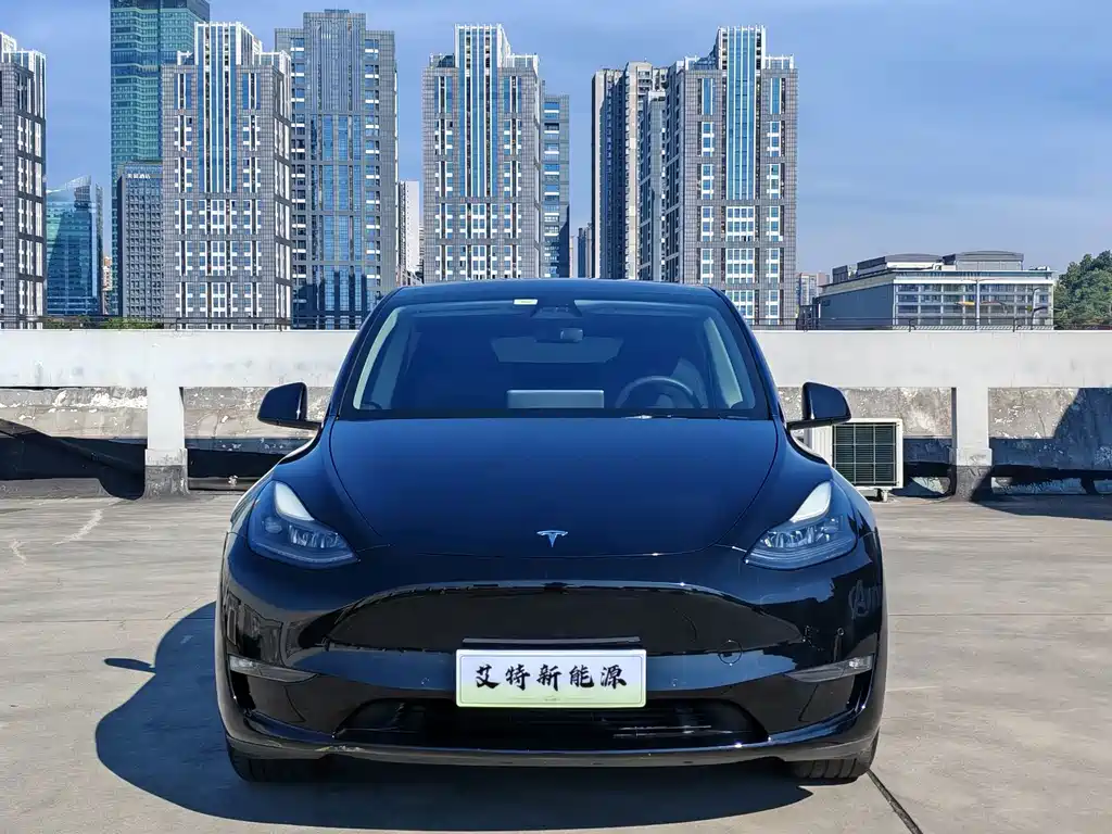 Tesla Model Y — фото 2