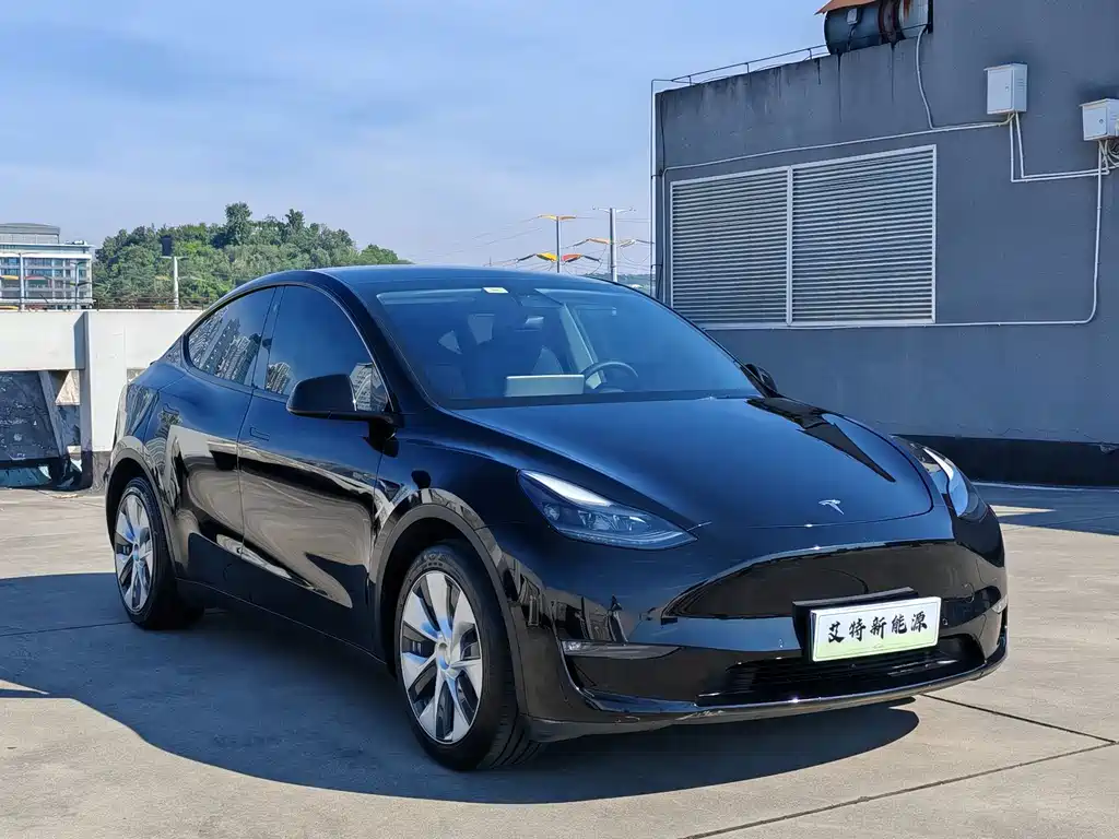 Tesla Model Y — фото 3