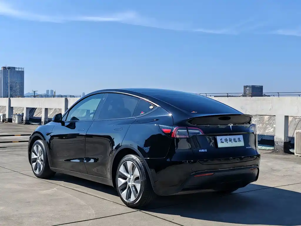 Tesla Model Y — фото 5