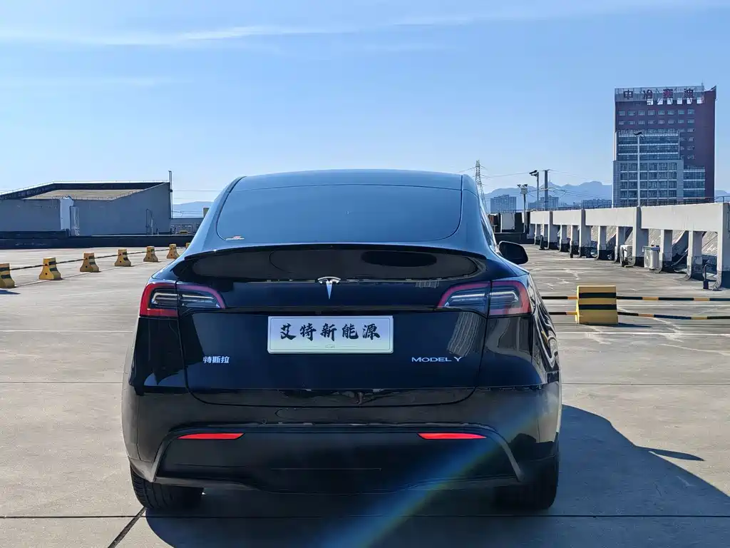 Tesla Model Y — фото 6