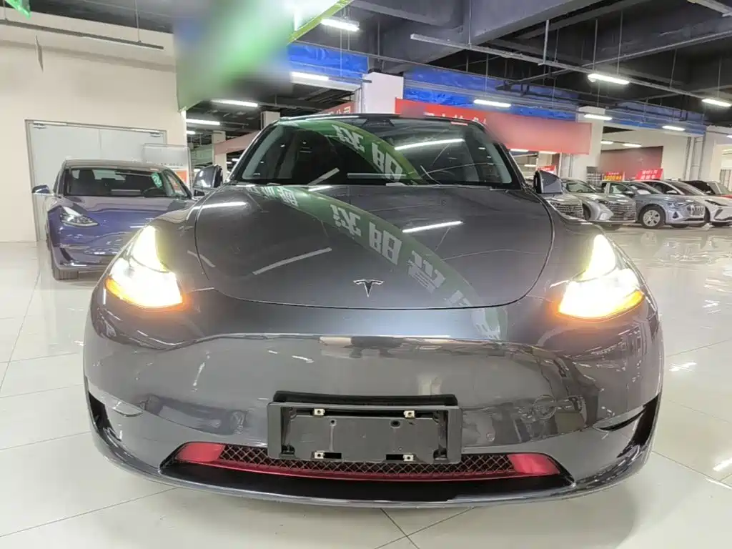 Tesla Model Y — фото 3