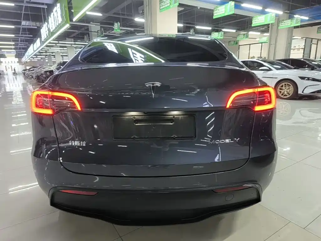 Tesla Model Y — фото 6