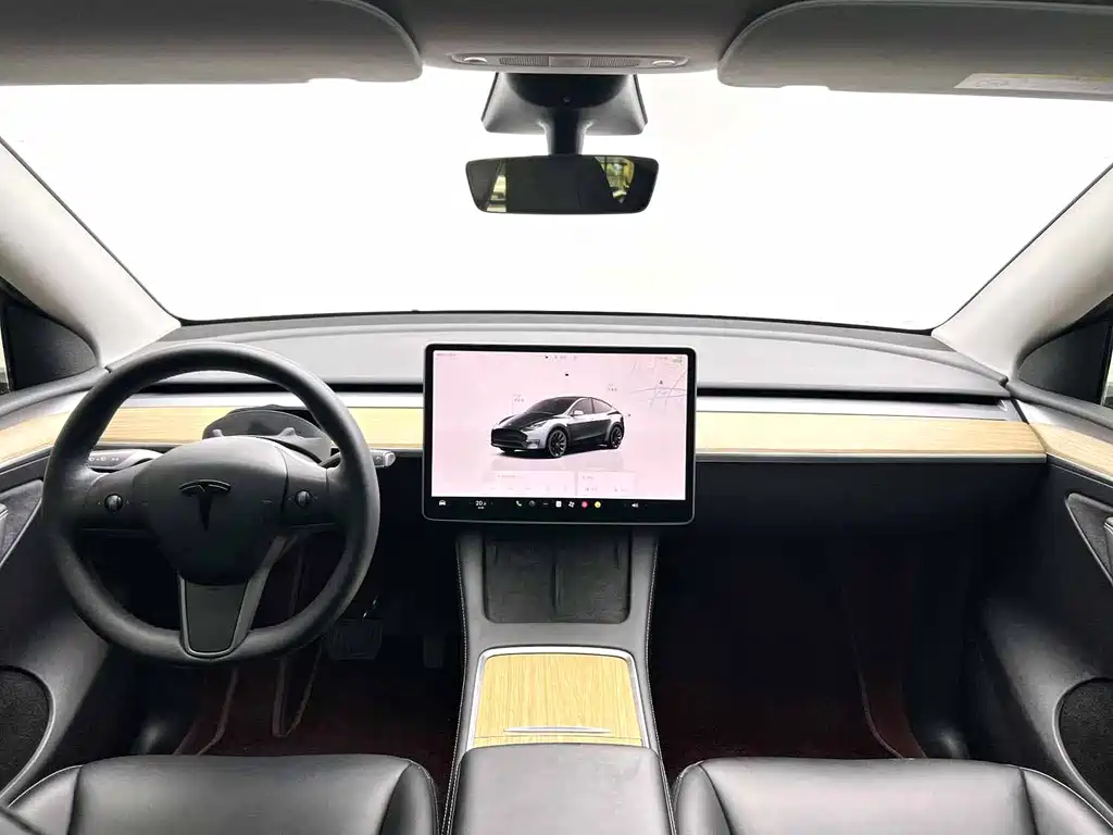 Tesla Model Y — фото 9