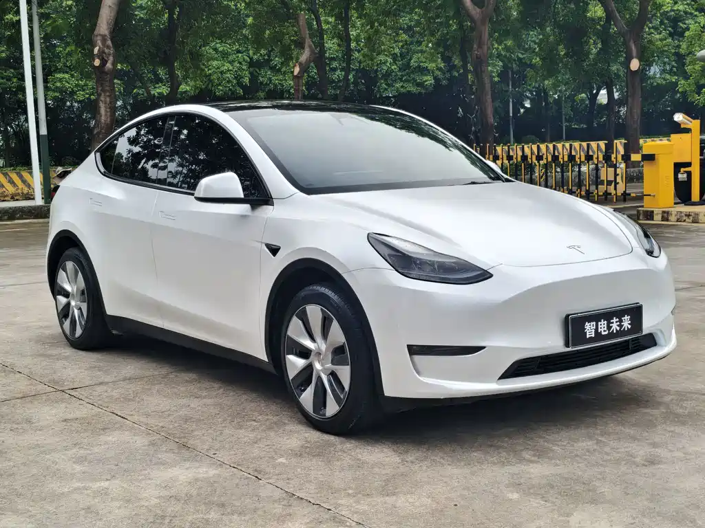 Tesla Model Y — фото 3