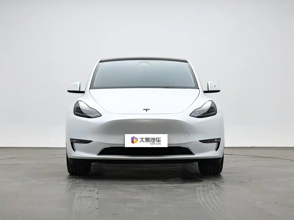 Tesla Model Y — фото 2