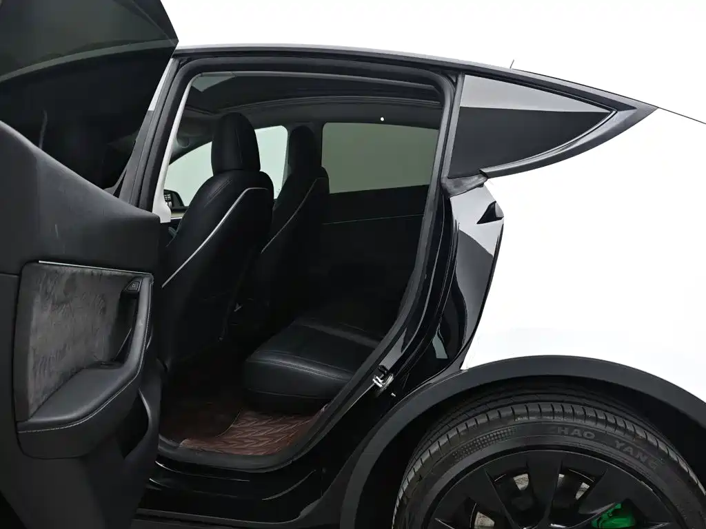 Tesla Model Y — фото 14