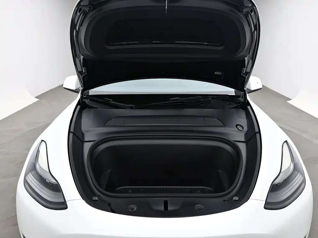 Tesla Model Y — фото 17