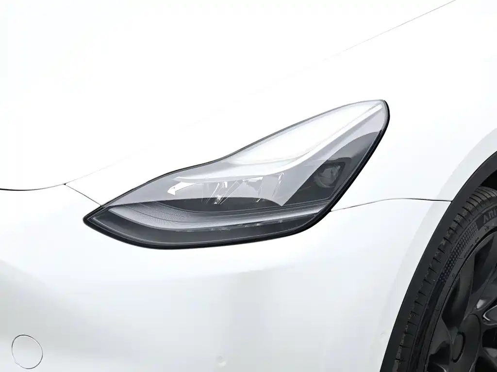 Tesla Model Y — фото 18