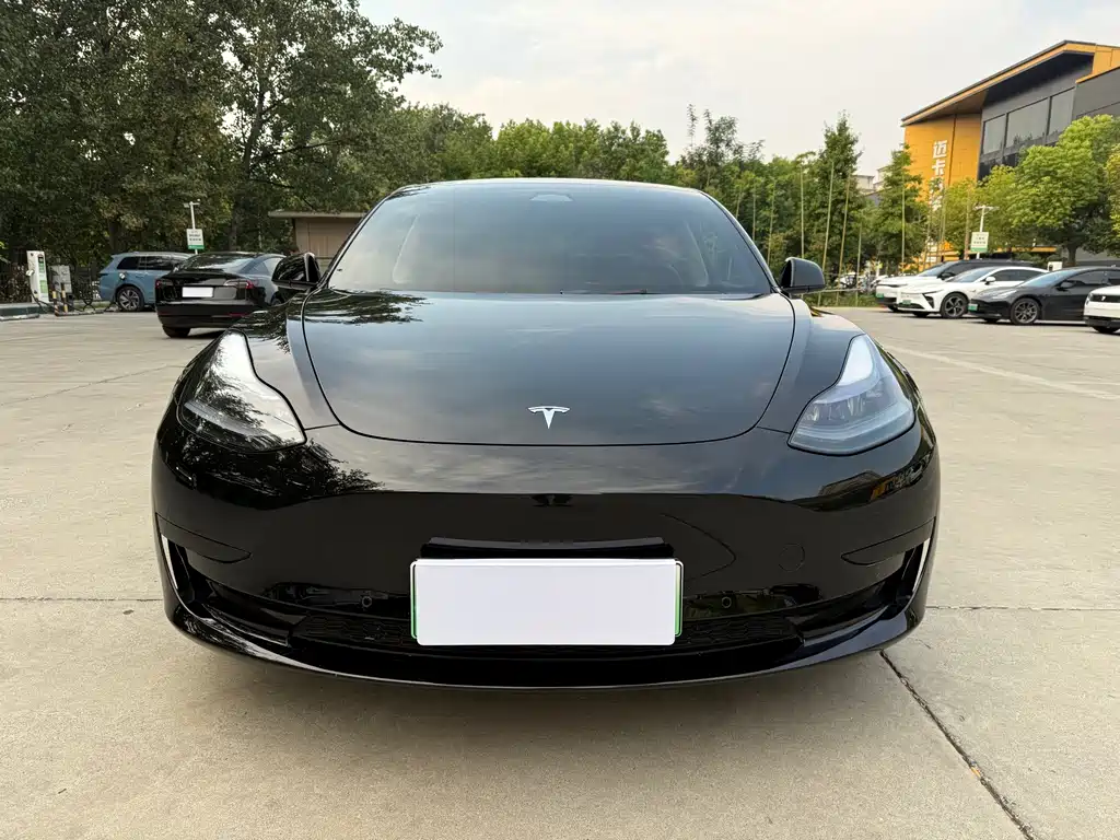 Tesla Model 3 — фото 2