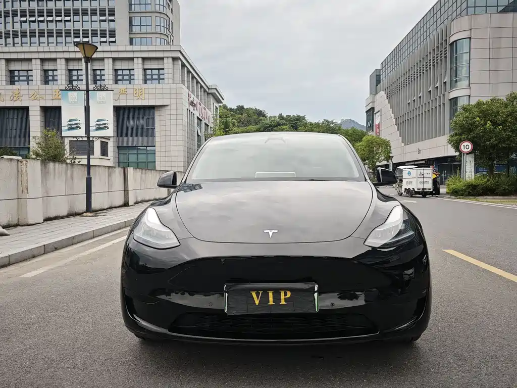 Tesla Model Y — фото 2