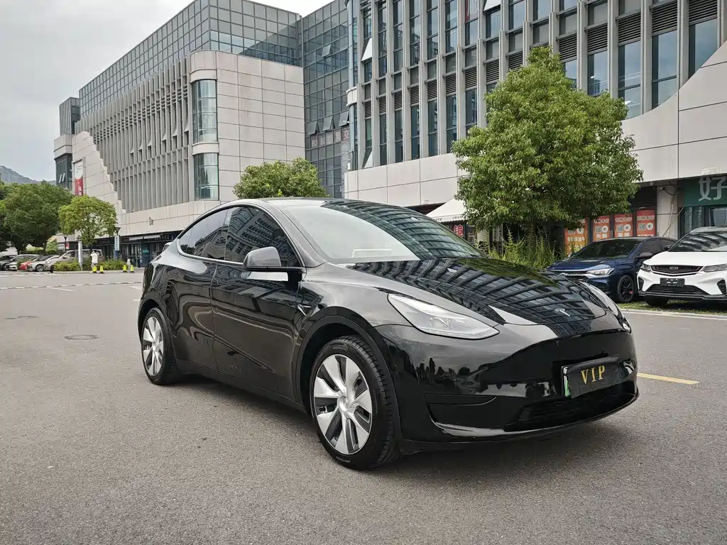 Tesla Model Y — фото 3