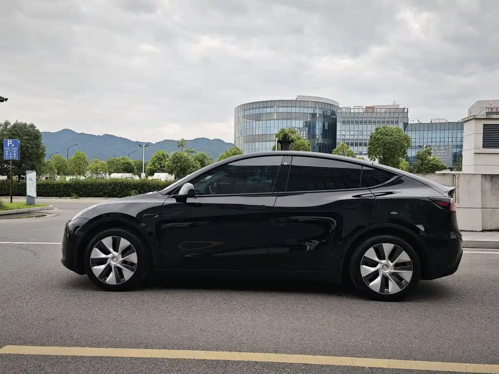 Tesla Model Y — фото 9