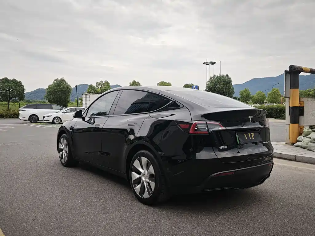 Tesla Model Y — фото 10