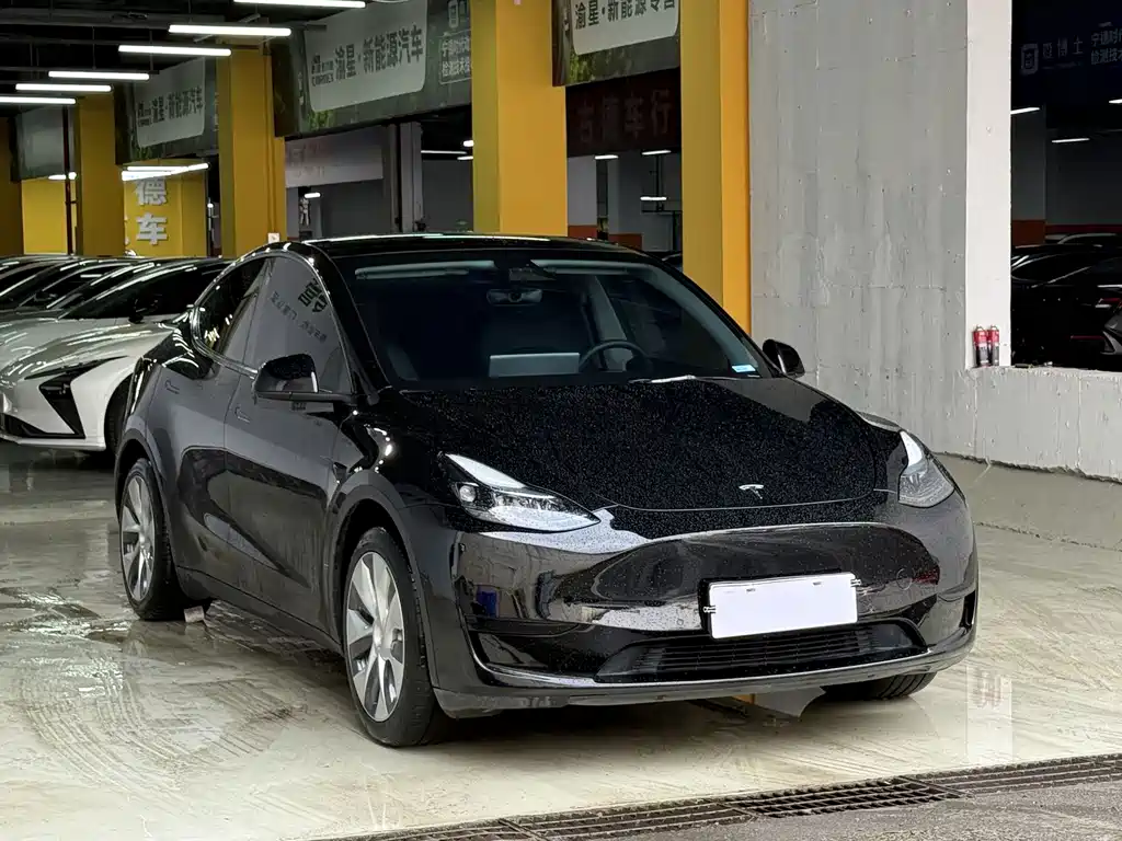 Tesla Model Y — фото 3