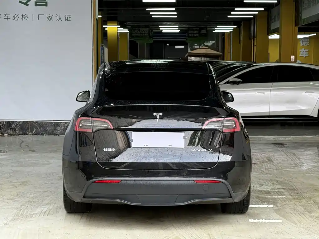 Tesla Model Y — фото 6