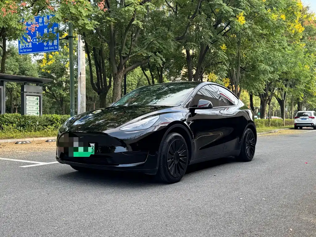 Tesla Model Y — фото 2