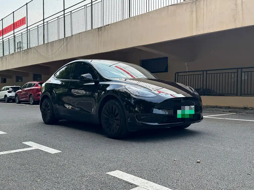 Tesla Model Y — фото 3