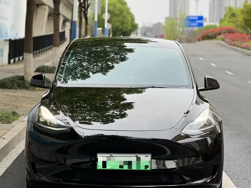 Tesla Model Y — фото 2