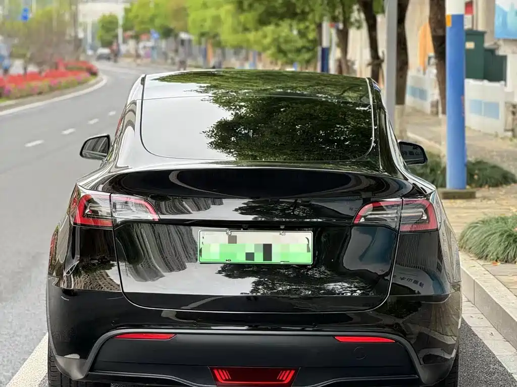 Tesla Model Y — фото 3