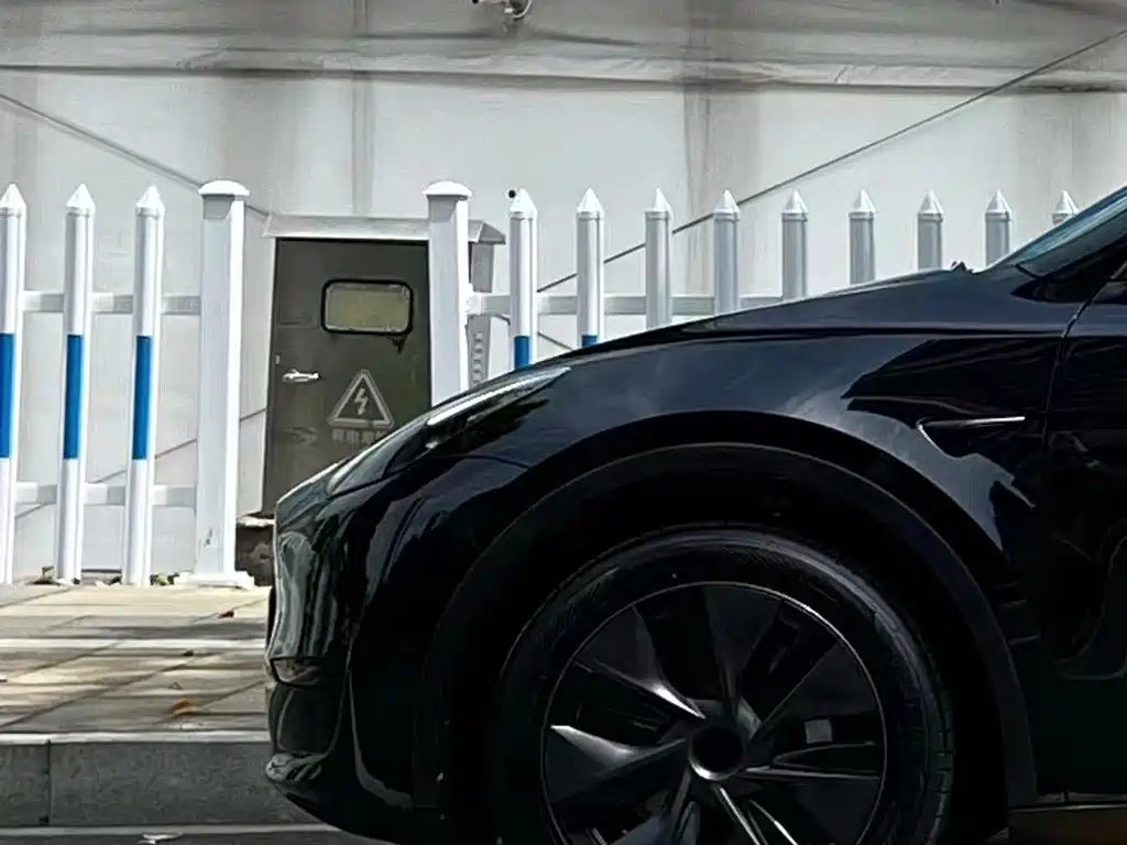 Tesla Model Y — фото 7