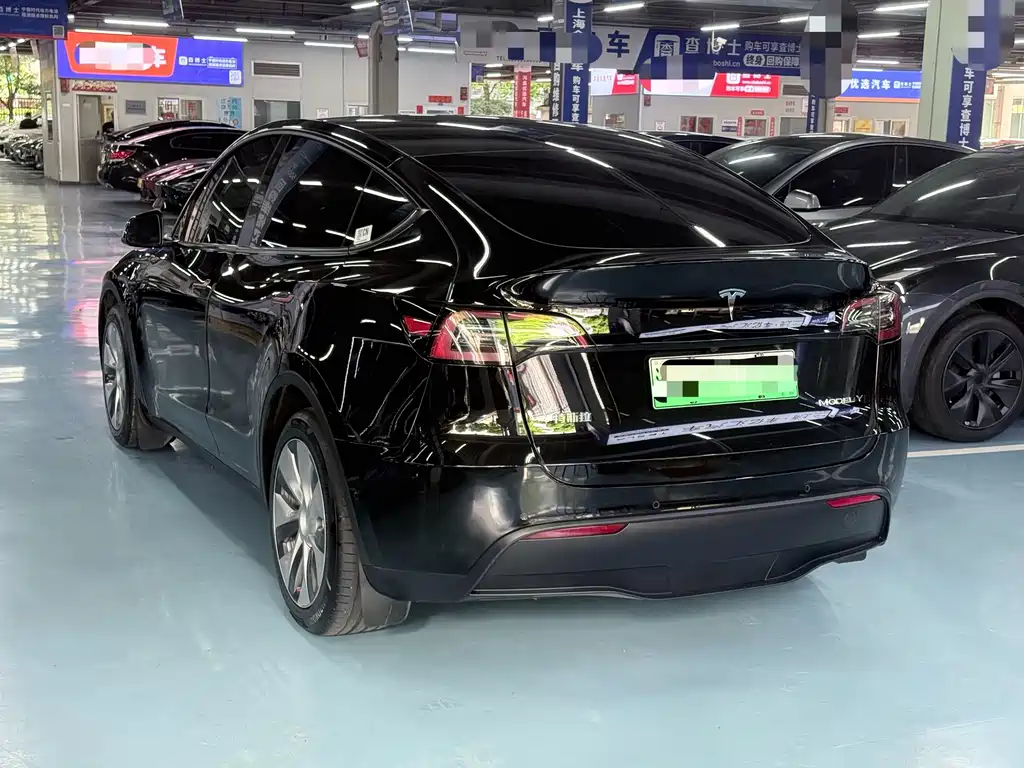 Tesla Model Y — фото 5