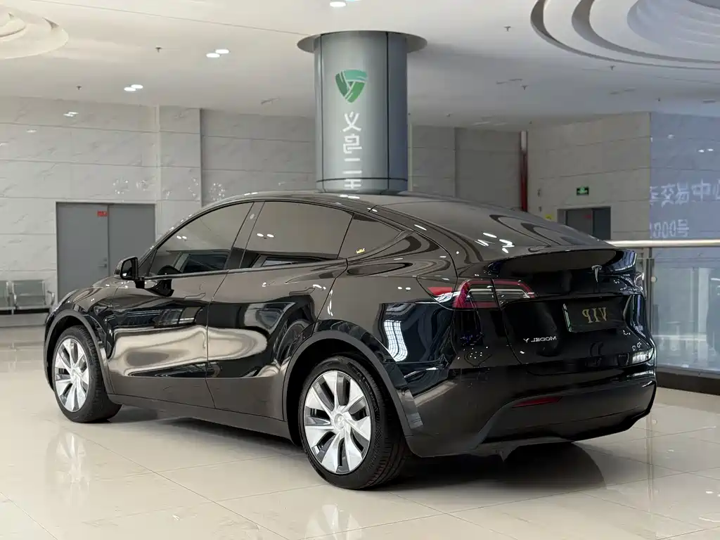 Tesla Model Y — фото 11