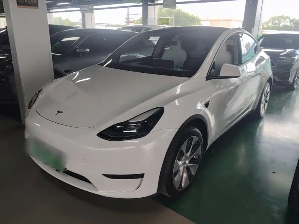 Tesla Model Y — фото 2