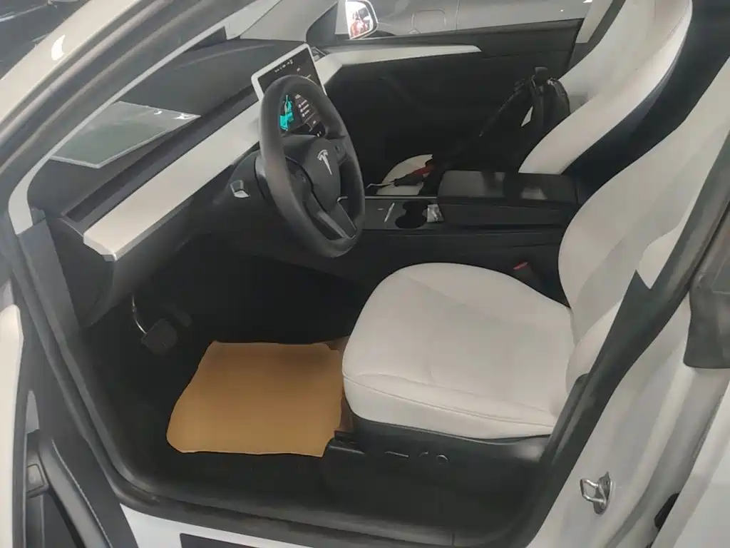 Tesla Model Y — фото 15