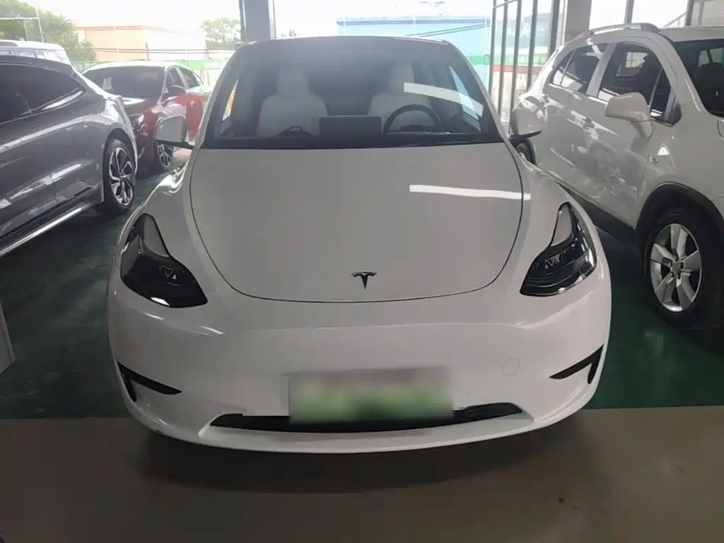 Tesla Model Y — фото 3