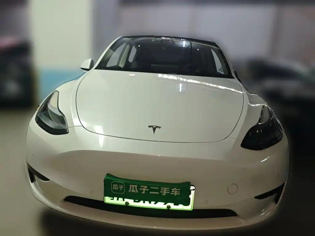 Tesla Model Y — фото 24