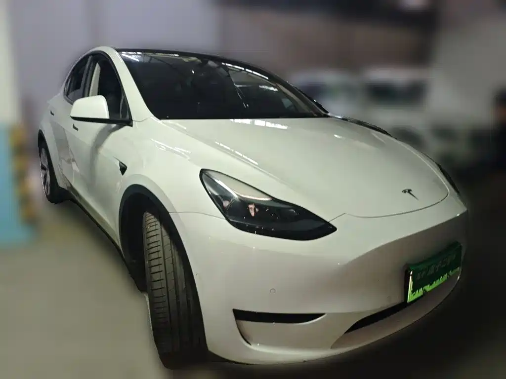 Tesla Model Y — фото 25