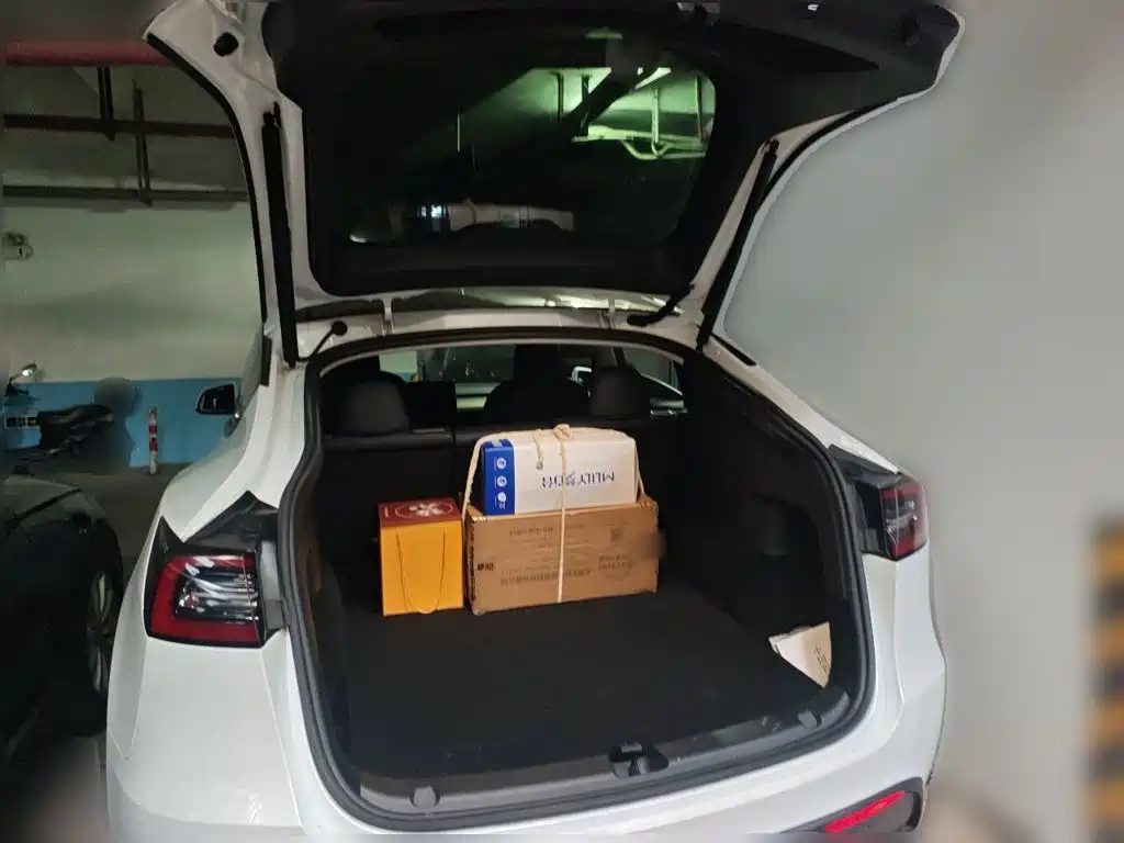 Tesla Model Y — фото 10