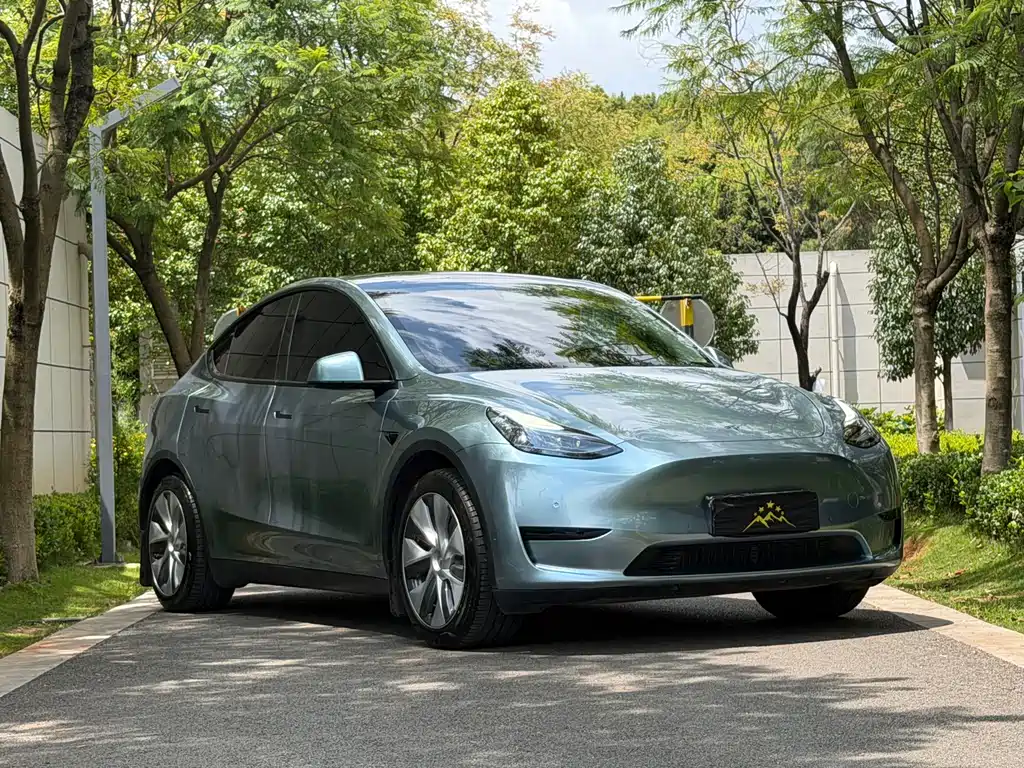 Tesla Model Y — фото 2