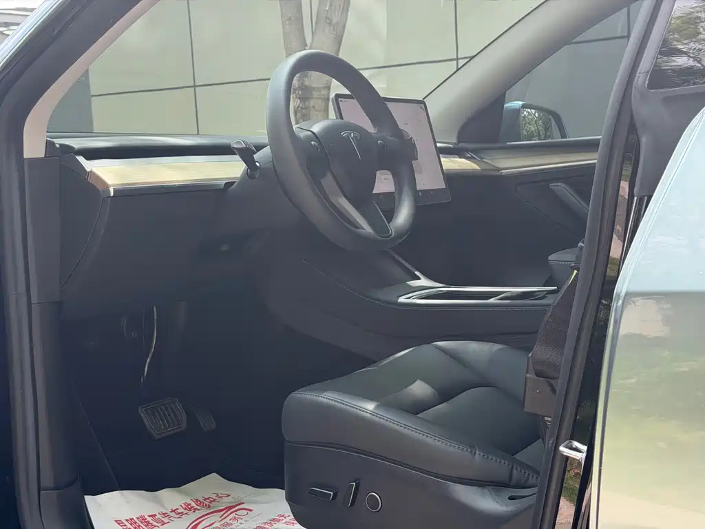 Tesla Model Y — фото 13