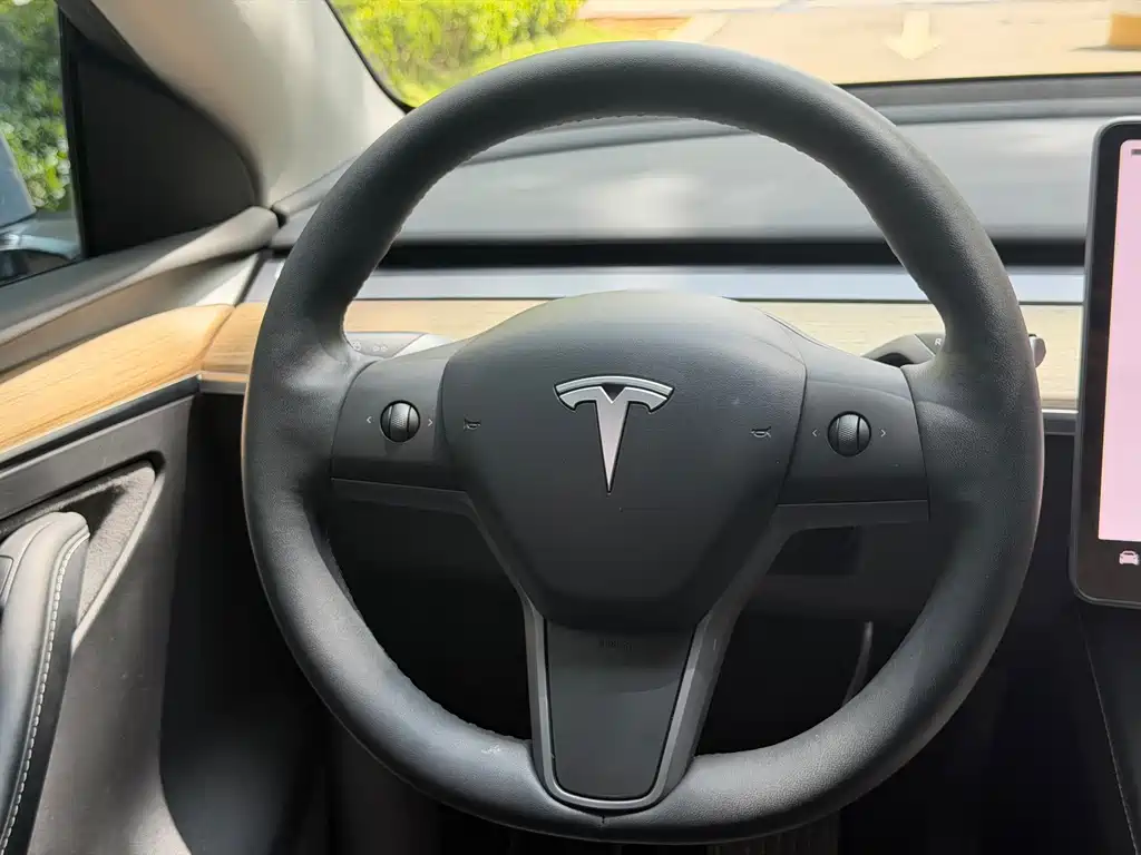 Tesla Model Y — фото 14