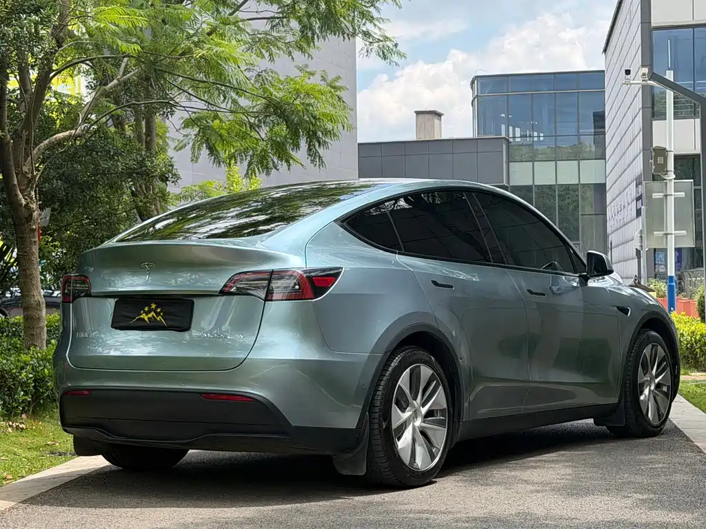 Tesla Model Y — фото 3
