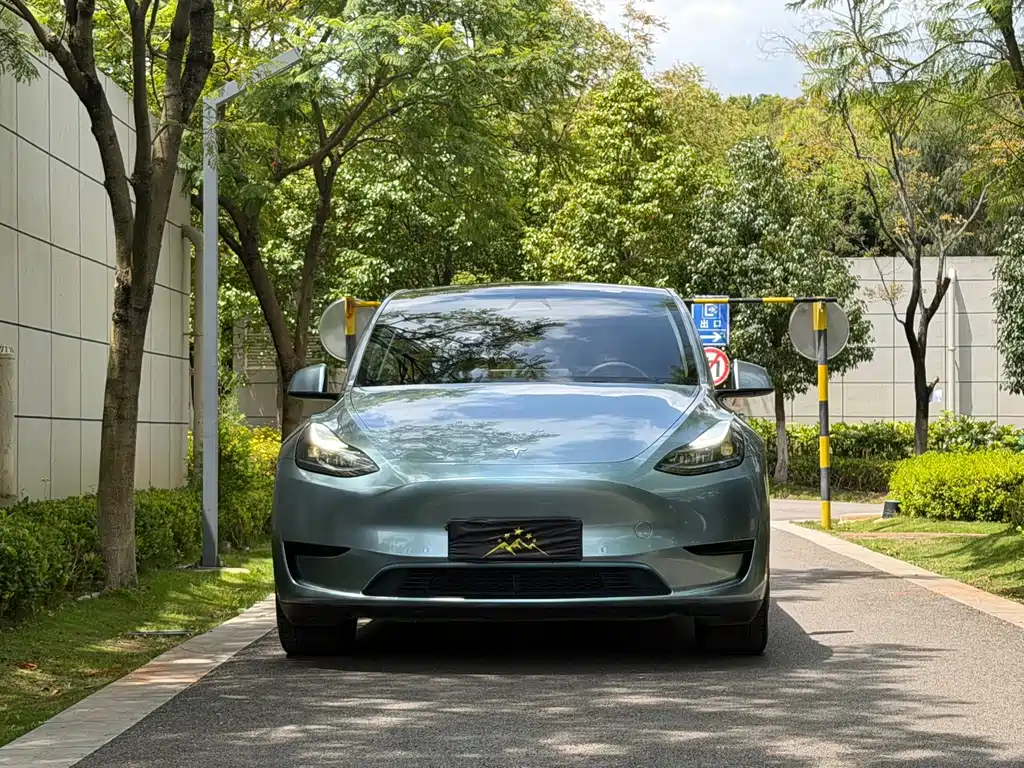 Tesla Model Y — фото 9
