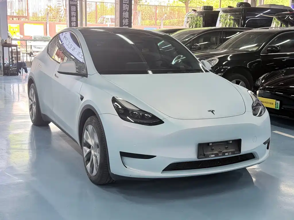 Tesla Model Y — фото 3