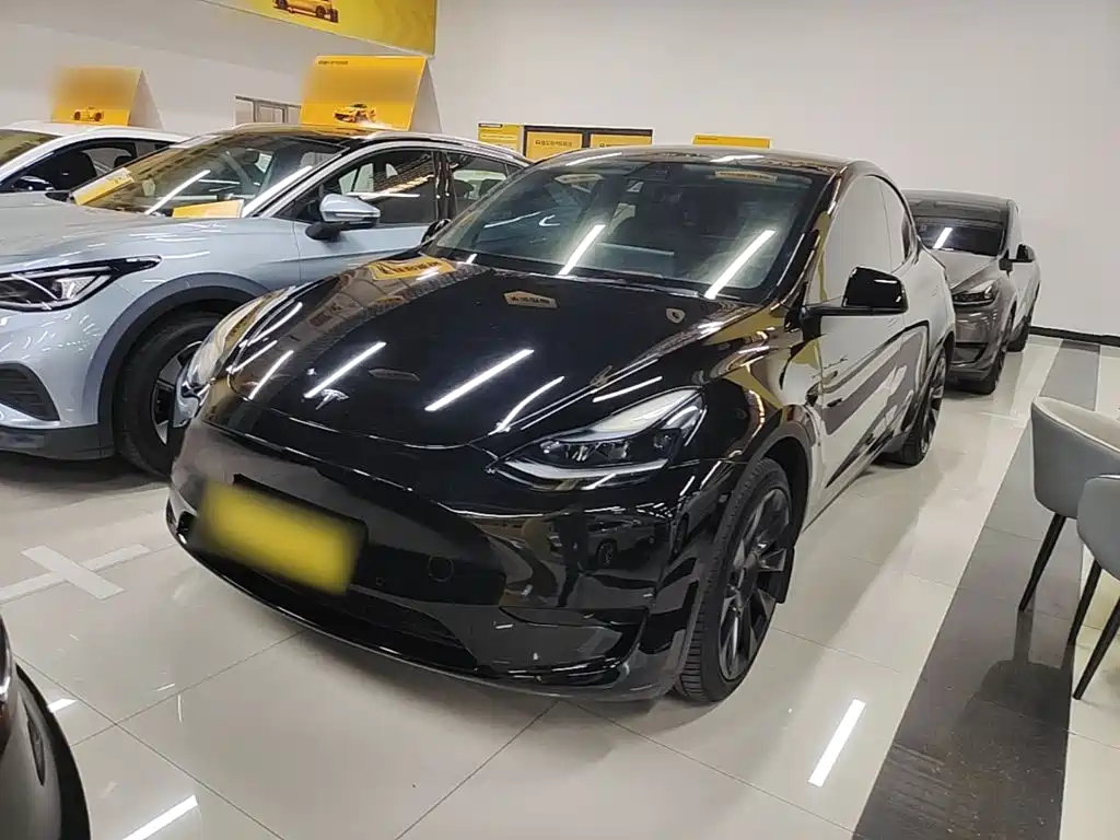 Tesla Model Y — фото 2