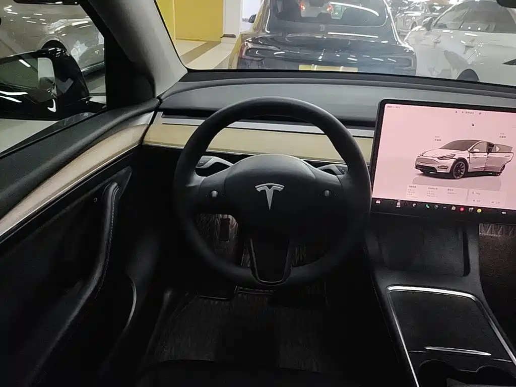 Tesla Model Y — фото 11