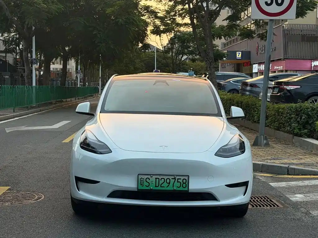 Tesla Model Y — фото 2